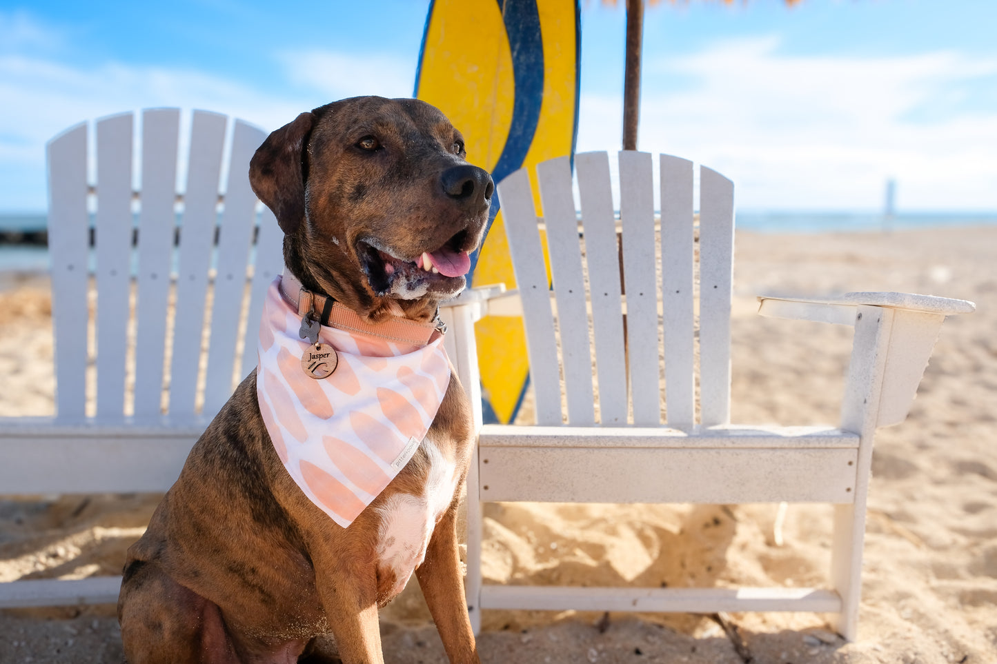 Surf's Up Classic Tie-On Dog Bandana + Personalized Koa Dog Tag