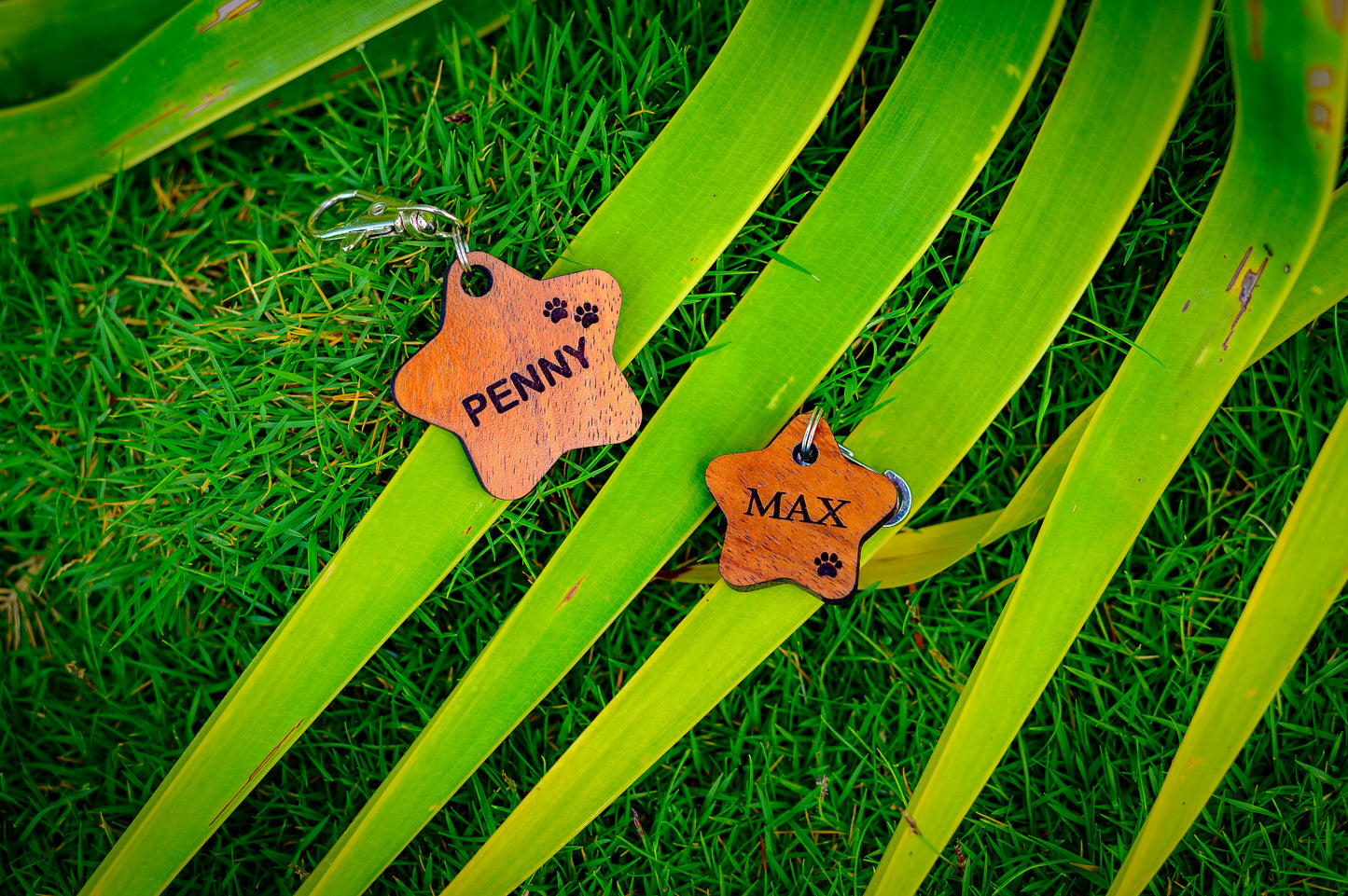 Custom Koa Wood Pet Tag: Personalized Engraved Star-Shaped Pet Tag